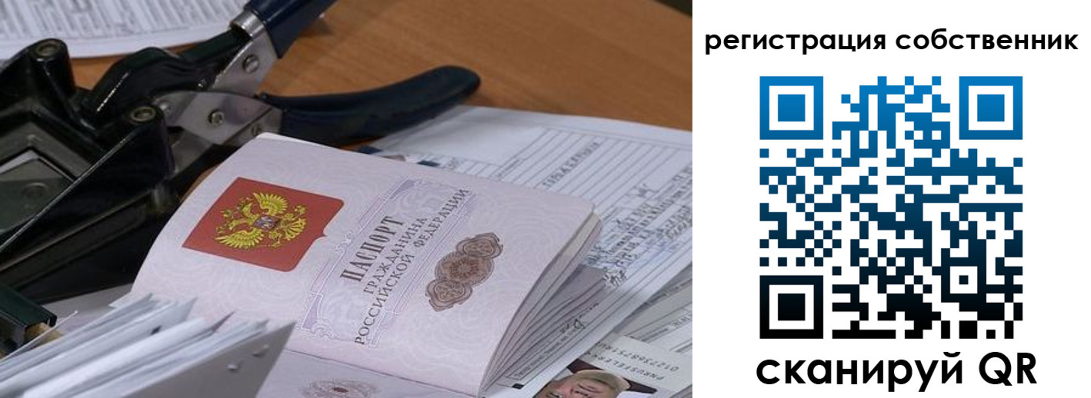 временная регистрация госуслуги в Кингисеппе